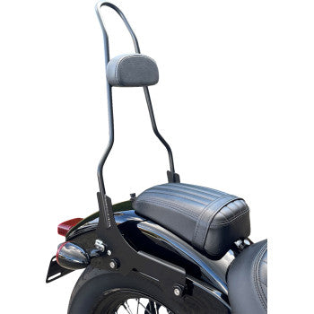 1501-0760 MWL-196-18-GB 23" Quick Release Sissy Bar